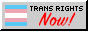 Botón a favor de los derechos de la comunidad trans.